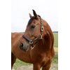 Horse Halter for Goleygo System, Brown/Light Blue, Cob