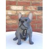 Vivid Arts (Blue French Bulldog Sitting