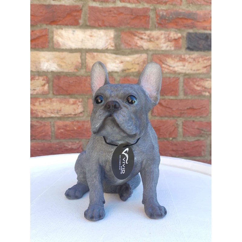 Vivid Arts (Blue French Bulldog Sitting