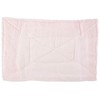 Condor (Rag) Color Rag Red Pack of 10