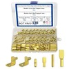 BGTXINGI 120pcs Shelf Pins Kit Nickel-Plated 4 Styles Shelf Support