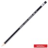 Nataraj Writing Pencils, Platinum, BLACK Bonded Lead, Pack of 12,