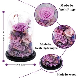 Forever Preserved Rose for Her, Preserved Flowers in Glass Dome with LED Lights, Long-Lasting Real Roses Flowers for Mother's Day, Christmas, Anniversary and Birthday(Purple)