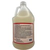Nickel-Safe Ice Machine Cleaner - 1 Gallon