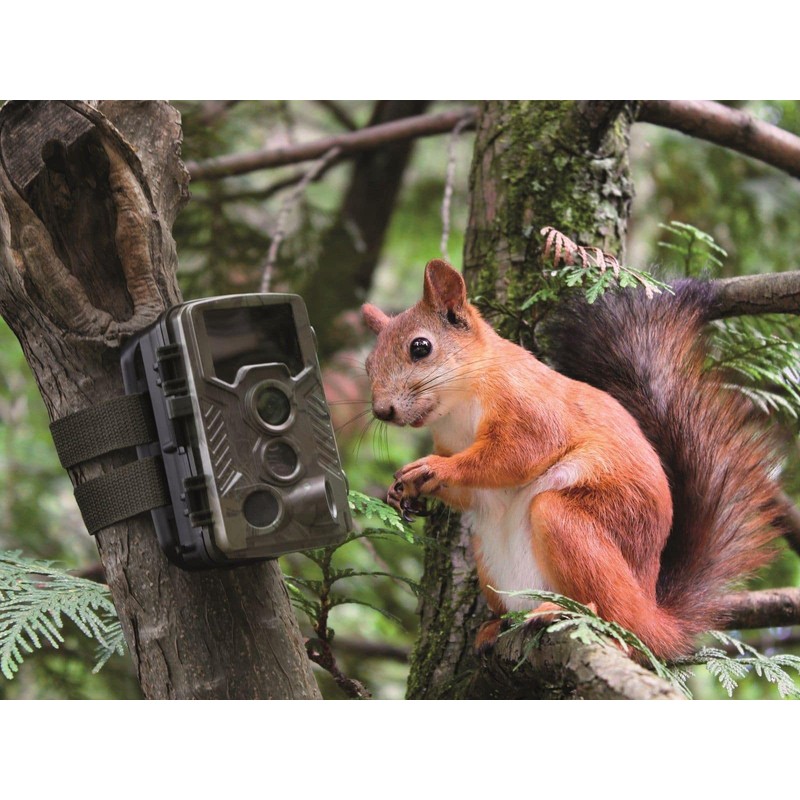 Technaxx Wildlife Camera with Motion Sensor Night Vision Function -