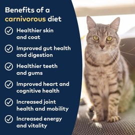 ZIWI Peak Canned Wet Cat Food – All Natural, High Protein, Grain Free, Limited Ingredient, with Superfoods (Beef), 6.5 Ounce (Pack of 12)