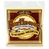 Ernie Ball Earthwood Medium - Cuerdas para guitarra acústica de