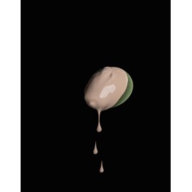 Shegaia/ Watery Glow Aesthetic One-Ply BB Cream B / 쉬가이아/ 물광 에스테틱 한겹 비비크림B