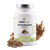 500 mg Pine Bark Extract Capsules with OPC + Natural