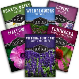 Survival Garden Seeds Perennial Flowers Collection - Shasta Daisy, Echinacea, Russell Lupine, Rose Mallow, Blue Sage, and Perennial Wildflower Mix - Non-GMO Heirloom Seeds for Planting and Growing