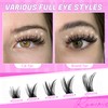 Ruairie Lash Clusters Kit Wispy Individual Lashes Extension Kit for