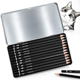 Pencil Set, 12-Piece Drawing Pencil Set, Pencil Drawing from 4H to 14B Sketch Pencil Set with Graphite Pencils for Artists, Children, Adults, Drawings, Sketching Lovers (Type 1)