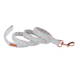 Unique Style Paws Dog Leash with Cotton Handle Leashes Durable Dog Leash for X-Small Small Medium to Large Dogs