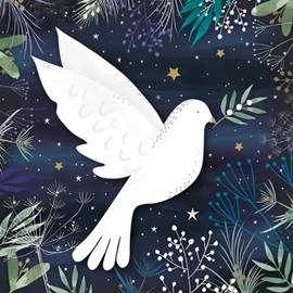GBCC Charity Christmas Cards Pack of 6 - Charity Christmas Cards 2024 with a Dove at Night Design - Eco-Friendly Xmas Cards Multipack with Envelopes