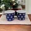 Madacha 2 x Metal Enamel Mugs 250ml Blue with White