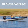 SeaSense River Boat Anchor - Ideal for Pontoons, Bass Boats