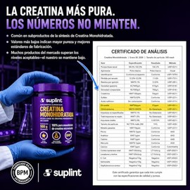 Creatina Monohidratada Micronizada – Creatina en Polvo 500 g (100 Porciones) – 100% Puro Monohidrato de Alta Pureza – Sin Sabor – Para Hombre y Mujer 