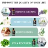MAYJAM Essential Oil, Jasmine Aroma Oil, 1.0 fl oz (30
