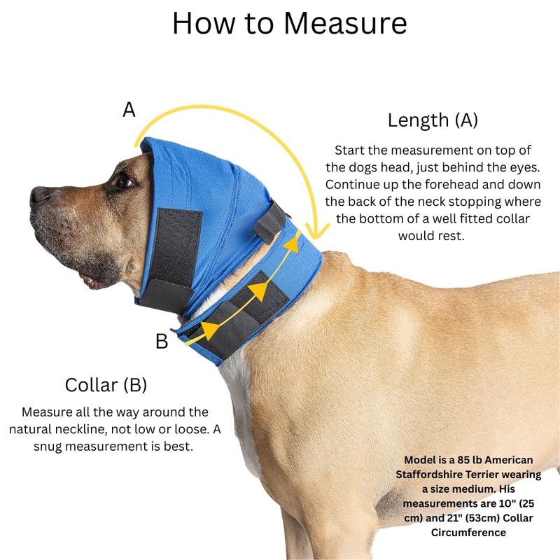 No Flap Ear Wrap (Blue Pinpoint Mesh, Medium)