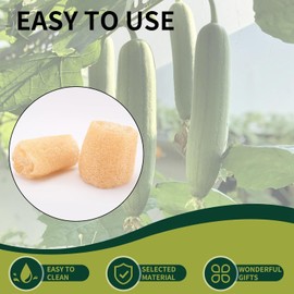 Esponja Luffa Natural Orgánica 100% Ecológica para Baño y Limpieza (10 Pzas)