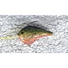 Wild Mesh Fishing Lure Airbrush Netting