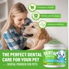Dog Teeth Cleaning Powder 100g, Dog Dental Powder, Pet Breath