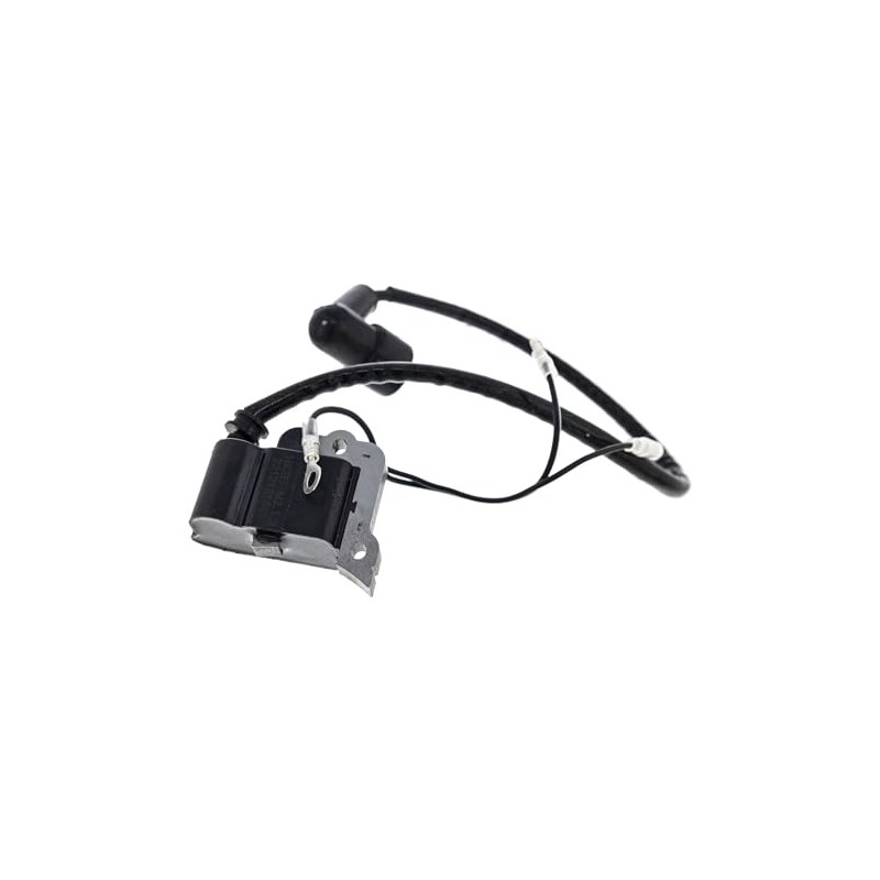 IGCLINIC 531147161 Ignition coil with Spark Plug for 150BT(2022-present), 150BT-Mark