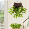 CIYODO 1Pc Hanging Plants Board Durable Wooden Wall Planter for