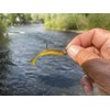 Rebel LIVEFLEX™ Shore Shiner Soft Plastic - Smallie - 2"