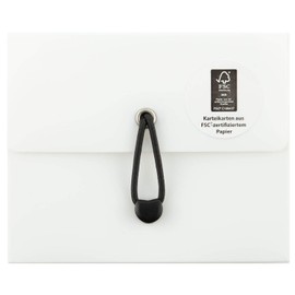 Stylex 49100 Index Card Box DIN A7 with 5 Compartments Including 100 Lined FSC Index Cards in 6 Different Colours for Repeating and Practising New and Old Vocabulary Assorted Items