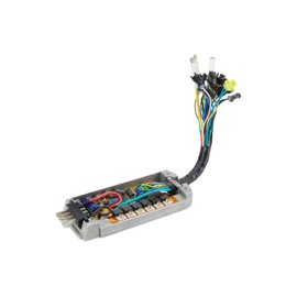 Controller for GoCruiser and GoSpeed Electric Controller for Cruiser and Speed Bike