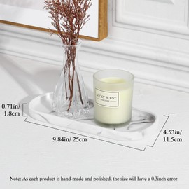 Luxspire Vanity Tray, Vanity Tray, For Washrooms, Bathrooms, Kitchens, Oval, Size: 9.8 x 4.5 x 0.7 inches (25 x 11.5 x 1.8 cm), Resin, Waterproof, Scratch-Resistant, Easy to Clean, Space Saving