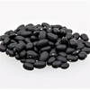 Black Turtle Bush Bean Seeds - 100 Count Seed Pack