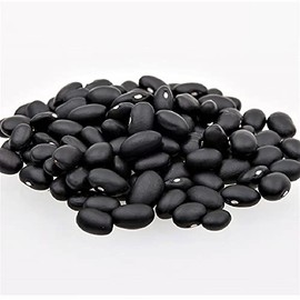 Black Turtle Bush Bean Seeds - 100 Count Seed Pack - Superbly Tasty and Produces high yields - Country Creek LLC