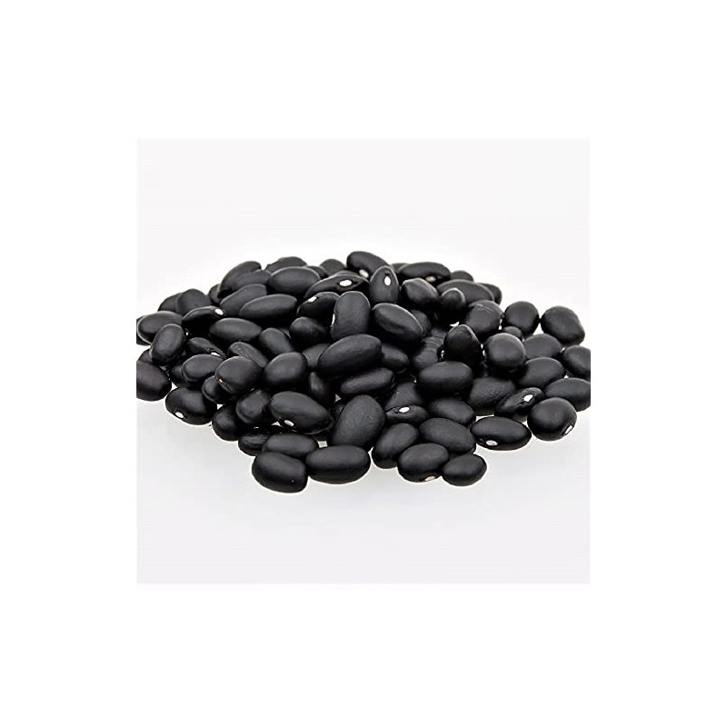 Black Turtle Bush Bean Seeds - 100 Count Seed Pack