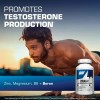 Gat Sport Essentials Zmag-t Zinc, Magnesio, B6 + Boro 2