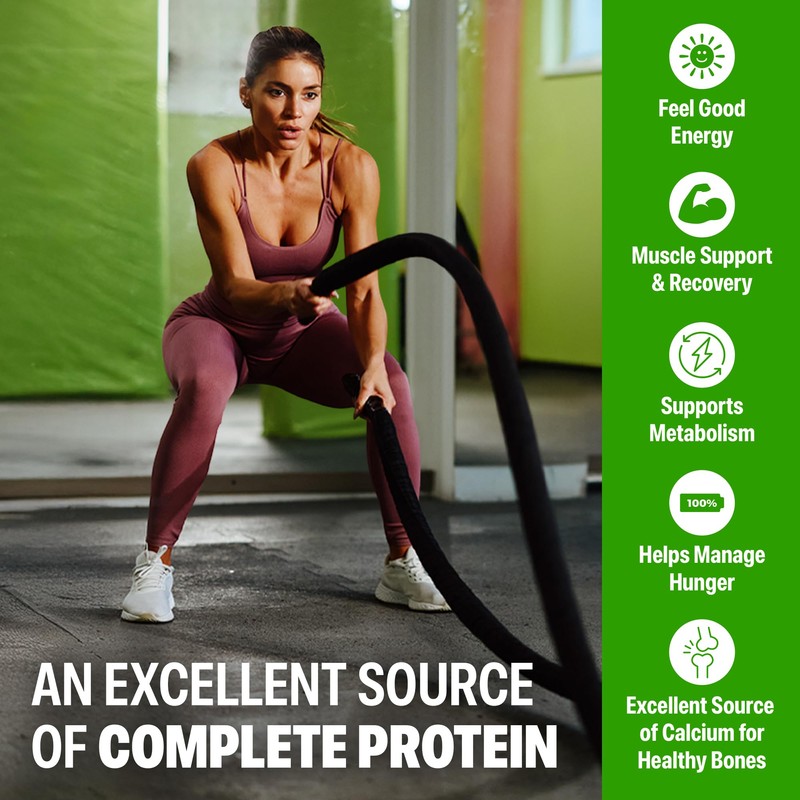 Orgain 38g High Protein Shake, Dairy Isolate Protein Milk, Chocolate