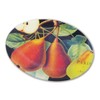 missixerudezainwa-kusu Soap Dish tasukanbea-
