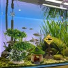 Esenthy Aquarium Artificial Plastic Plants Tank Decoration Set Shark Warning