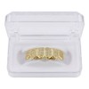 JINAO Gold Bottom Grillz 18K Gold Plated Iced Out Cubic
