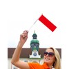 25 Packs Small Indonesia Flags on Handheld Stick，Miniature Indonesian Flag