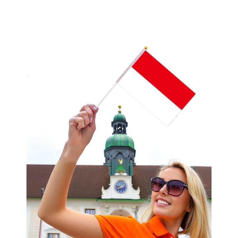 25 Packs Small Indonesia Flags on Handheld Stick，Miniature Indonesian Flag