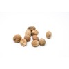 Whole Nutmeg by Slofoodgroup (Grown in Sri Lanka ) (2