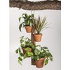 Kalmar Home 4 Pot Hanging Plant Holder