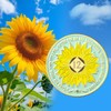Sunflower 12 Year NA Medallion NA AA Sobriety Coin with