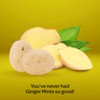 Ginger Mints - 2 Pound Bulk Pack (About 180 Count)