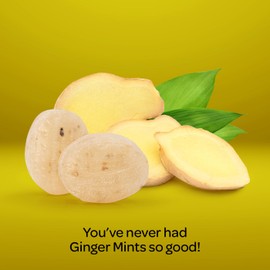 Ginger Mints - 2 Pound Bulk Pack (About 180 Count) - Hard Candy - Soothing Drops - Gluten Free