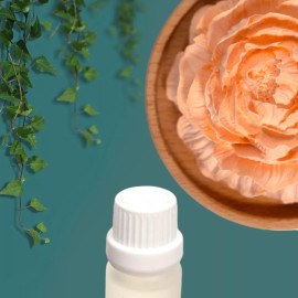 SINT Aroma Diffuser Diatomite Tree Peony Flower | Essential Oil Diffuser with...