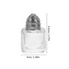 Kichvoe Small Salt and Pepper Shakers, Mini Glass Seasoning Jars