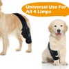 Petmingham Dog Knee Brace for ACL, Knee Cap Dislocation, Arthritis